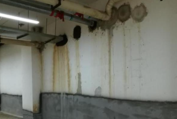 1742952210498421.png image.png