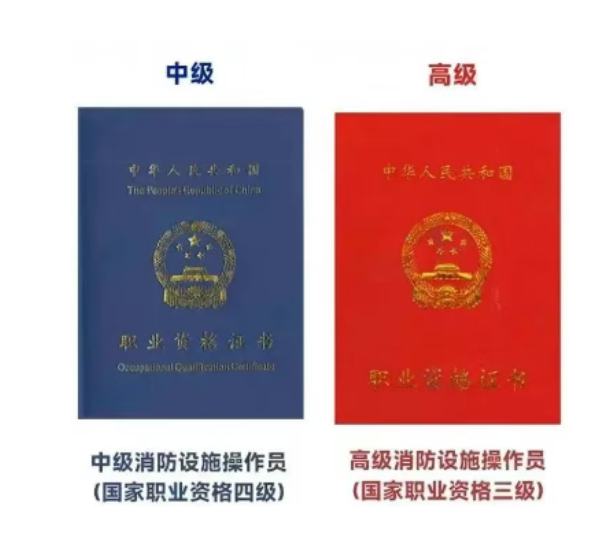 1773030791679565.png image.png